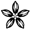 Logo de De Olier Chocolatl