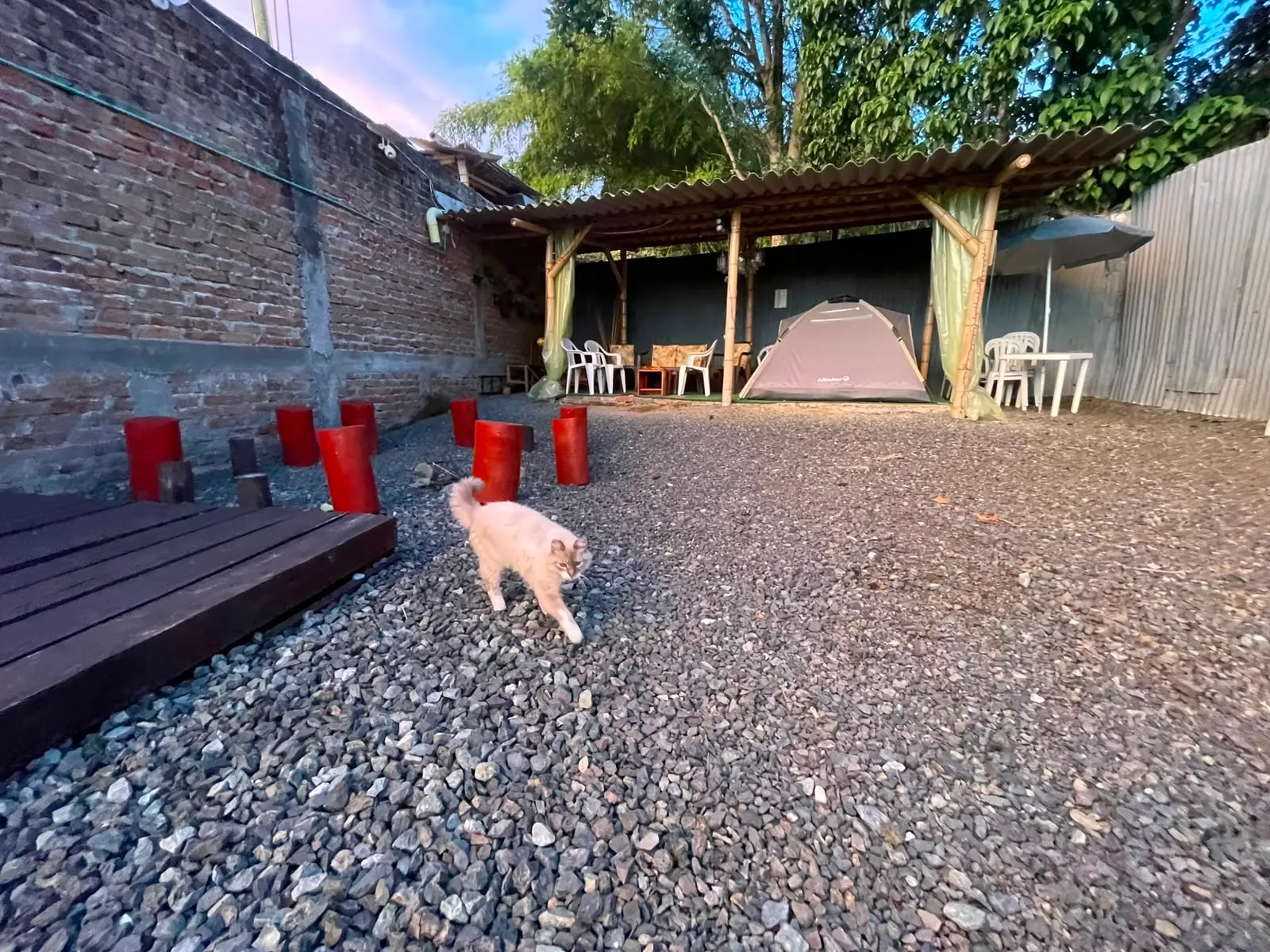 Detalle del patio y sus espacios de descanso